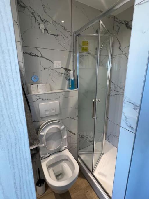 Apartament Super Studio En Face De La Gare De Miluza Zewnętrze zdjęcie